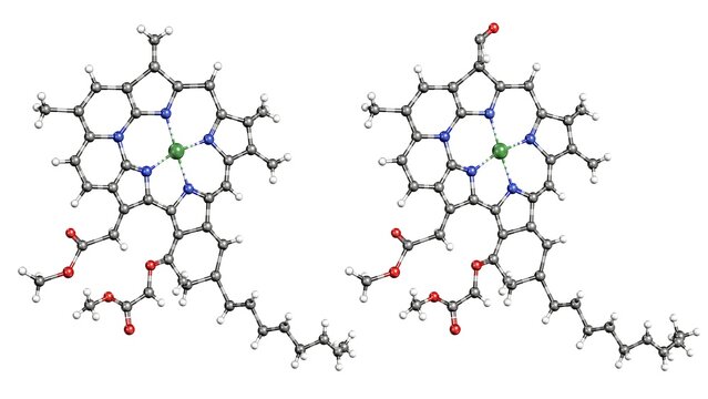 Chlorophyll A and Chlorophyll B Molecule Comparison 3D Scientific Structure Isolated on White Background