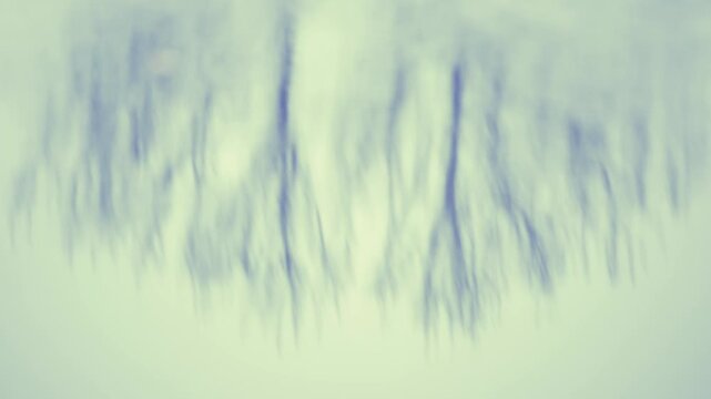 abstract background with grass