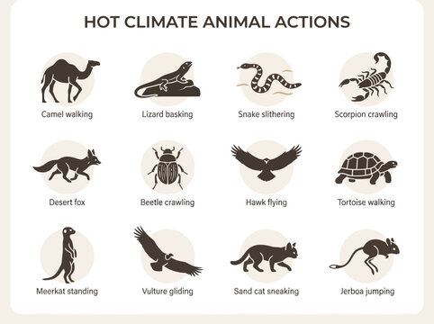 A chart with twelve illustrated icons showing various hotclimate animals and their corresponding actions