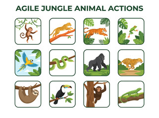 Obraz premium Grid of twelve jungle animal illustrations in rounded square frames
