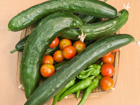 収穫したばかりの野菜、キュウリ、トマト、シシトウ