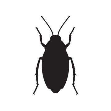 Black silhouette cockroach vector illustration