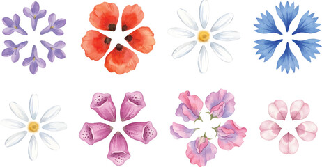 Obraz premium Vector Illustration Watercolor Botanical Flower Collection for Spring Floral Design and Decoration