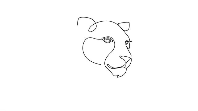 Continuous Line Art Animation of a Wild Cat Head