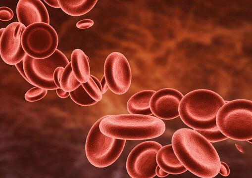 Numerous human red blood cells floating in the bloodstream in a microscopic environment