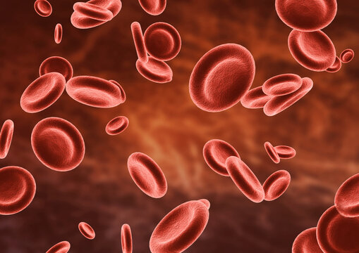 Group human red blood cells in the bloodstream microscopic view
