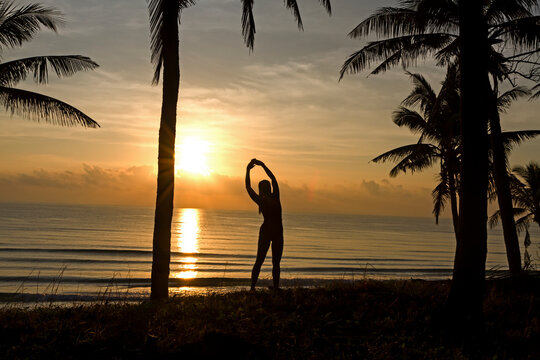 Sunrise with silhouette woman and coconut