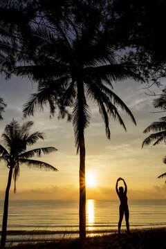 Sunrise with silhouette woman and coconut