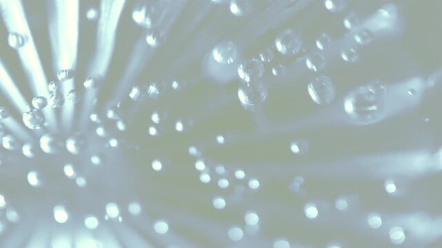Popping Water Bubbles with Gentle Ripples and Radial Light Rays - Pearl Abstract Background