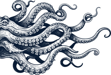 Vintage octopus tentacles engraving, hand drawn kraken sea monster illustration, nautical navy blue cephalopod sketch, antique marine life vector © Creative Wings