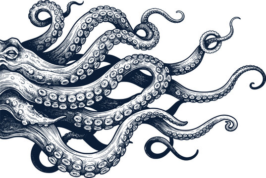 Vintage octopus tentacles engraving, hand drawn kraken sea monster illustration, nautical navy blue cephalopod sketch, antique marine life vector