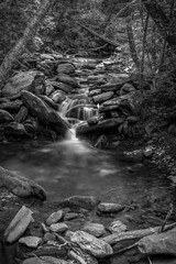 waterfall in the forest © Kevin