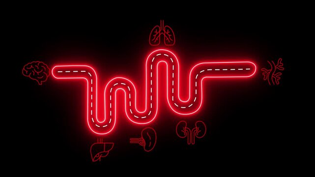 Neon medical pathway animation with human organs and brain concept