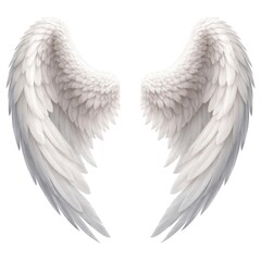 Obraz premium Elegant white angel wings illustration.