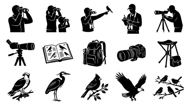 Birdwatching and Ornithology Black  White Silhouette Icons Set: Observers, Equipment  Various Birds