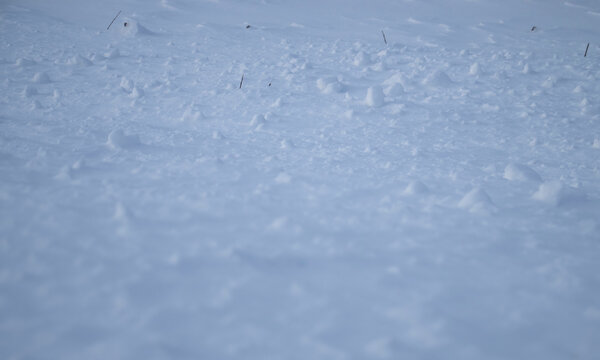 Chunks of snow on Bolio Lake in Alaska
