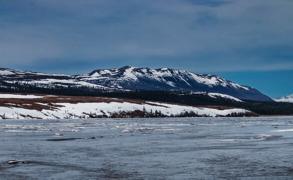 Ice flowing in river on the Denali Highway