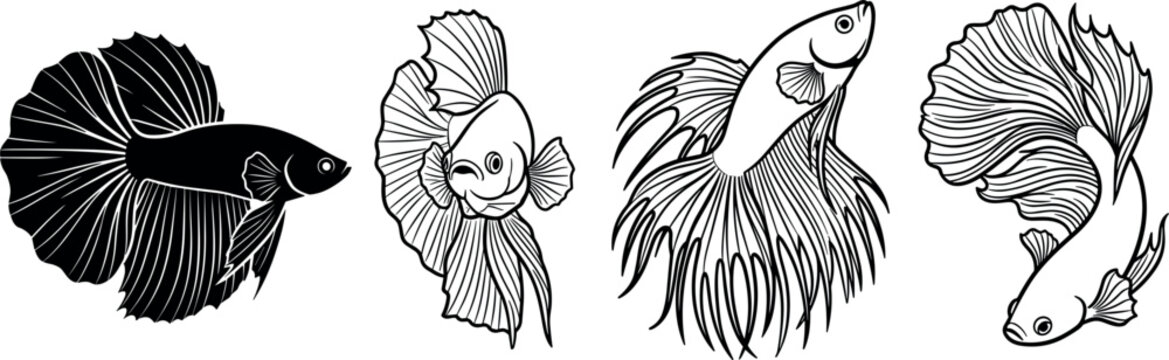 Betta Fish Line Art and Silhouette Vector Set with Siamese Fighting Fish Variations Including Crowntail and Halfmoon Tail Shapes for Graphic Logo Designs