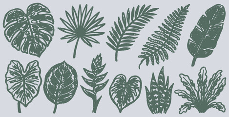 Collection of hand-drawn tropical plant leaves in a vintage sketch style. © Riki