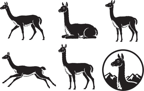 Vicuna Silhouette Icon Set Collection Black Andean Camelid Wildlife Vector Icons Isolated on White Background