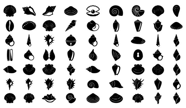 Sea Shell Vector Icon Set with Nautical Marine Conch Scallop Spiral and Oyster Shell Silhouettes Collection Design