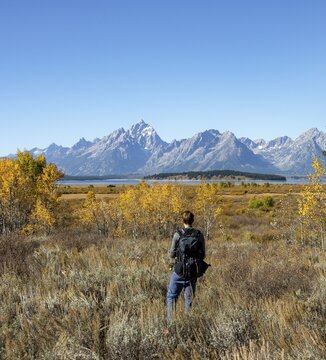 Young man looking into the distance, mountain panorama with Mount Moran and Grand Teton, autumn landscape, yellow Common aspens (Populus tremula) and bushes, Willow Flats Overlook, Teton Range, Grand Teton National Park, Wyoming, USA