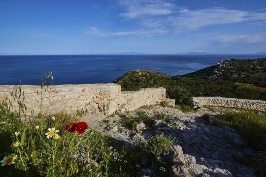 View of the remains of a wall by the sea, surrounded by grass, flowers and wild plants under a blue sky, Kritinia Castle, St John's Castle, Kritinia, Rhodes, Dodecanese, Greek Islands, Greece