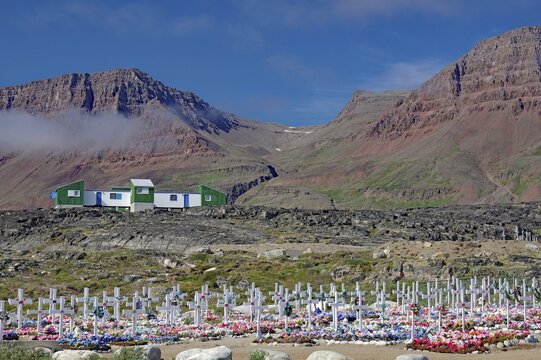 Cemetery, graves with colourful artificial flowers in front of mountains, Qeqertarsuaq, Disko Island, Qeqertarsuaq, Greenland