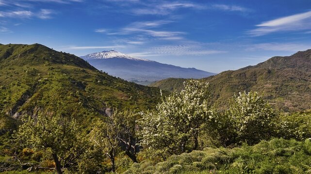 Etna in spring, vast green hills with blooming trees and volcano in the distance under clear skies, UNESCO World Heritage Site Etna, volcano, volcanism, Sicily, Italy