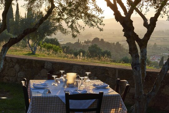 Table set under olive trees with a view of a picturesque landscape at sunset, Hotel Europa, garden restaurant and view of the surrounding landscape, Olympia, Peloponnese, Greece