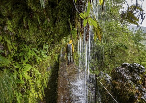 Hikers on a narrow path along a levada with a waterfall, in dense forest, Levada do Caldeir&atilde;o Verde, Parque Florestal das Queimadas, Madeira, Portugal