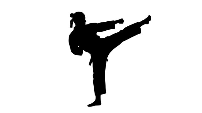 Black silhouette of martial arts fighter performing a high kick on white background