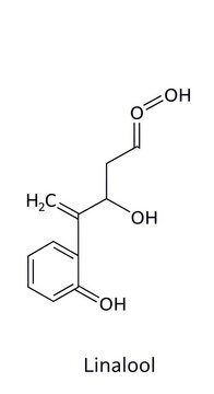 Chemical Structure of Linalool Molecule Illustration.