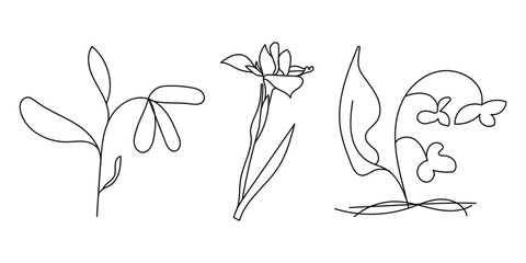 Naklejka premium Minimalist line art floral elements and wild plant vector set