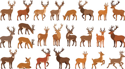 Obraz premium Deer and Stag Wildlife Collection with Buck Fawn Antlers and Forest Animal Vector Set