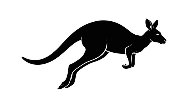 kangaroo vector illustration