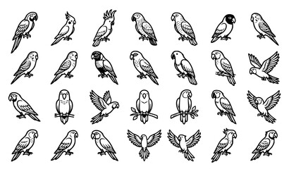30 Black and White Parrot Outline Vector Collection Isolated on White Background © Md