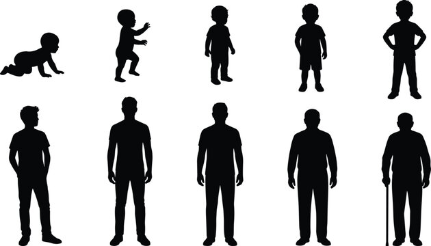 Male Life Cycle Silhouette Collection from Crawling Baby to Elderly Man with Cane