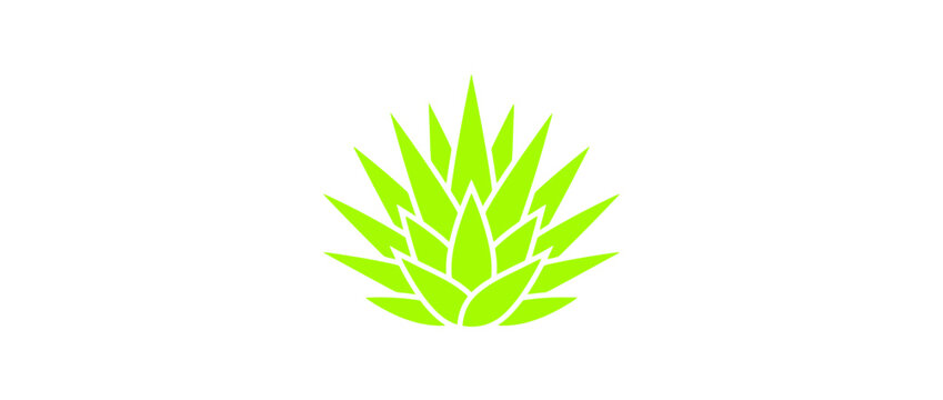 Green agave plant logo icon graphic