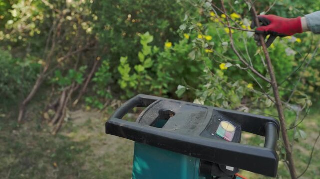 Electric garden shredder chipper processing branches and leafy shrubs in a lush backyard garden. Hands in red gloves feed plant material into the machine.
