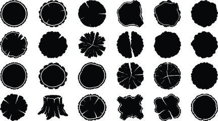 Tree stump cross section collection, natural wood log silhouettes, forestry vector illustration set isolated design © Creative Vector Work