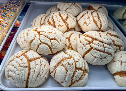 Traditional Mexican Concha Sweet Bread in Bakery Display.