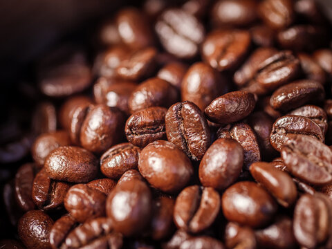 Close-up of freshly roasted coffee beans inside a coffee grinder hopper. Rich texture and aroma for espresso concept