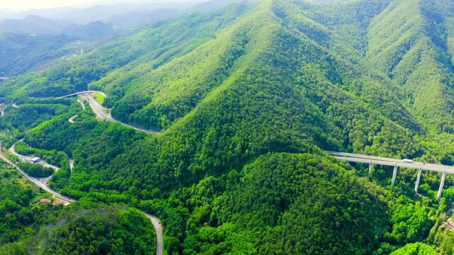 Italy, Province of La Spezia, A12. Elevated motorway viaduct cutting through densely forested Apennine ridges, aerial drone view under bright summer light. Drone footage