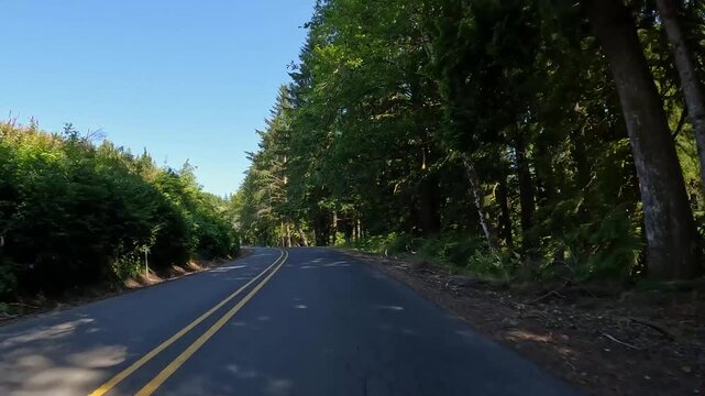 4K smooth stabilized hood mounted driving footage along a scenic countryside road OR-202 Nehalem hwy, through forests in Oregon, USA in summer daylight