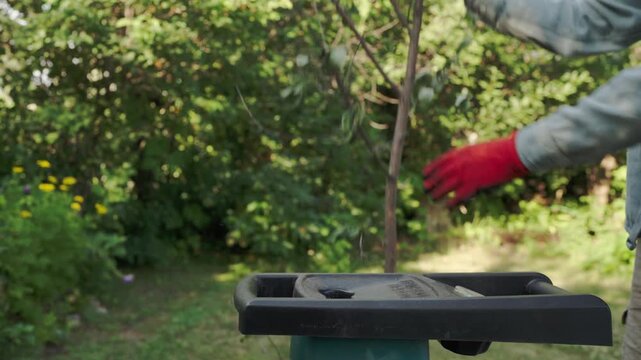 Gardener in red gloves feeds branches into an electric garden shredder outdoors, processing green leafy shrub cuttings efficiently.