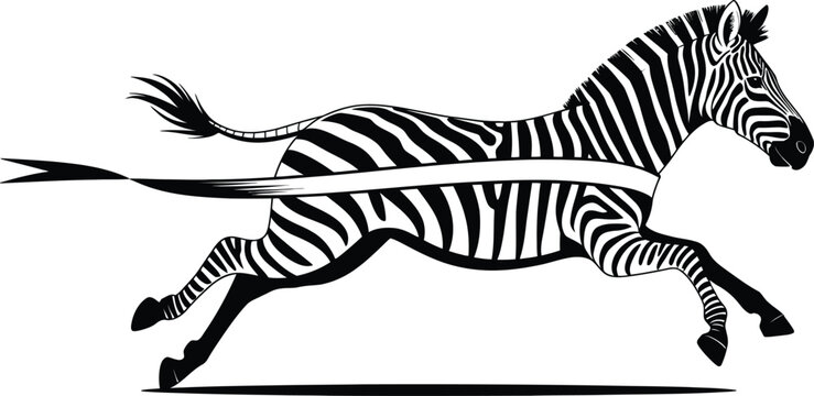 Running zebra illustration