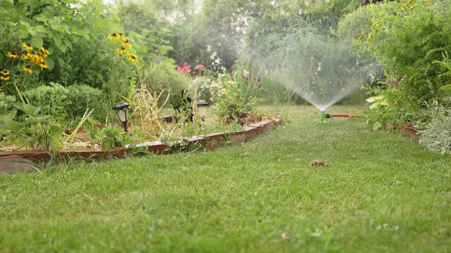 Garden sprinkler waters lush green lawn between colorful flower beds with brick edging and solar path lights on a summer day.
