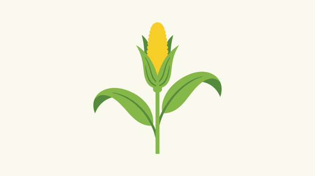 A simple illustration of a single yellow corn cob with green leaves