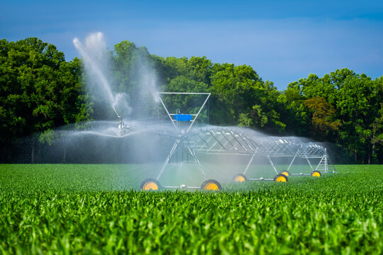 Irrigation surrounds green growth. Irrigation reaches crop field. Center pivot irrigation supports farming. Modern irrigation spans farmland.